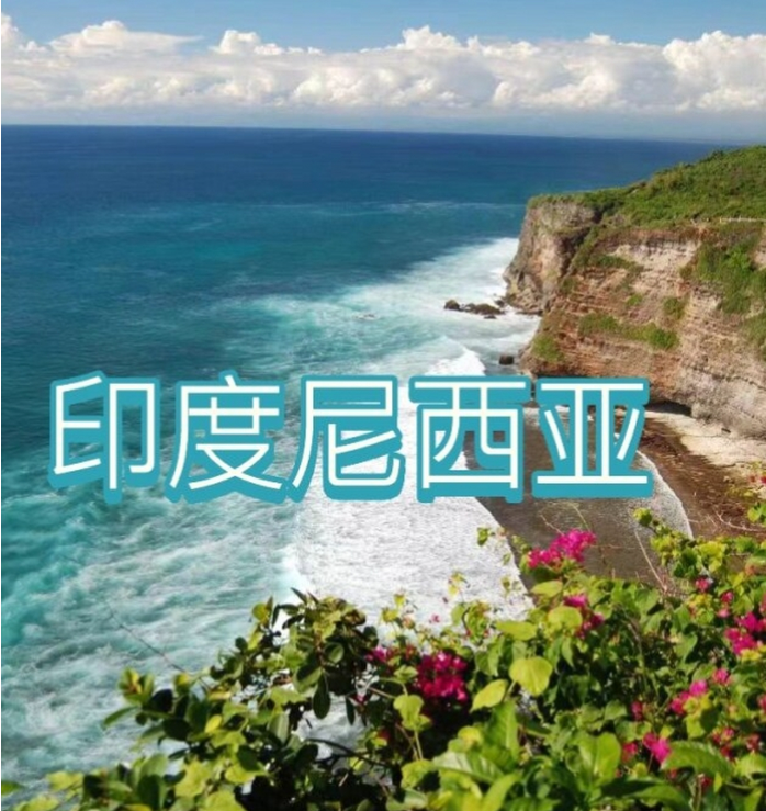 国际电商(印尼)产业博览会澳门新葡京网页2025中国(图2)