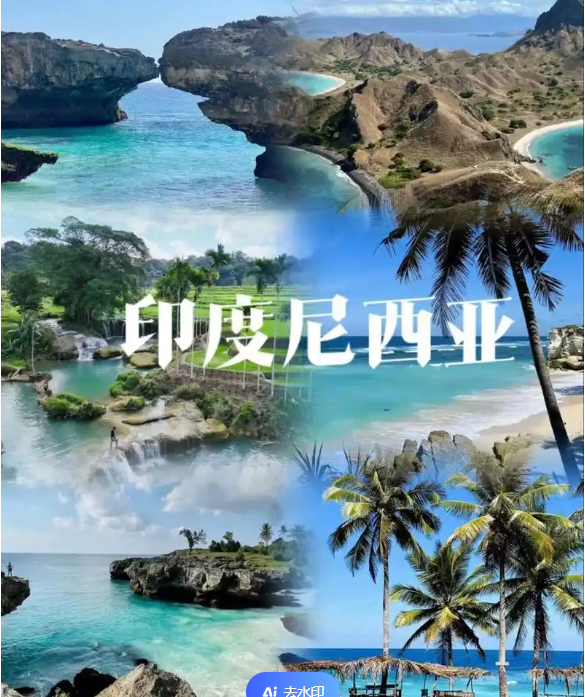 国际电商(印尼)产业博览会澳门新葡京网页2025中国(图3)